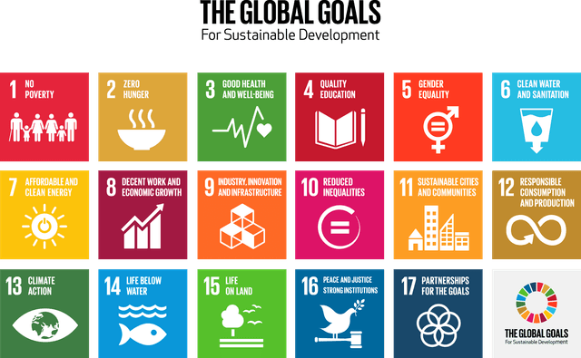Youth for Global Goals Logo Color